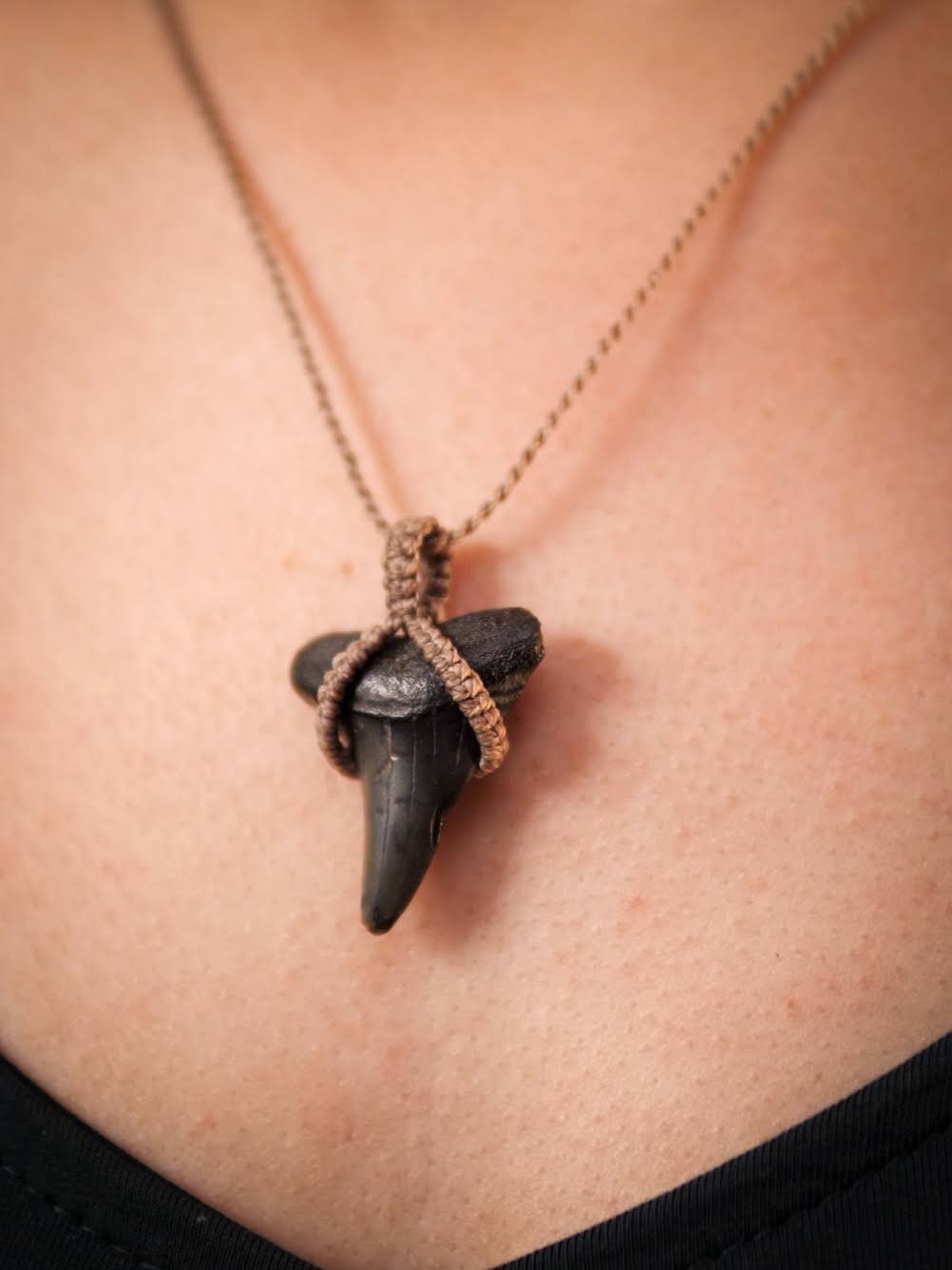 Kéan - Pendentif en dent de requin fossilisée