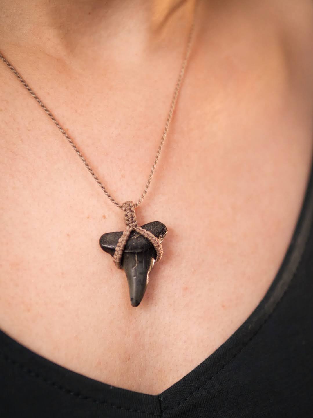 Kéan - Pendentif en dent de requin fossilisée – Image 3